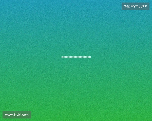 杨建平主办搏击赛事点燃全球激情彰显体育精神风采